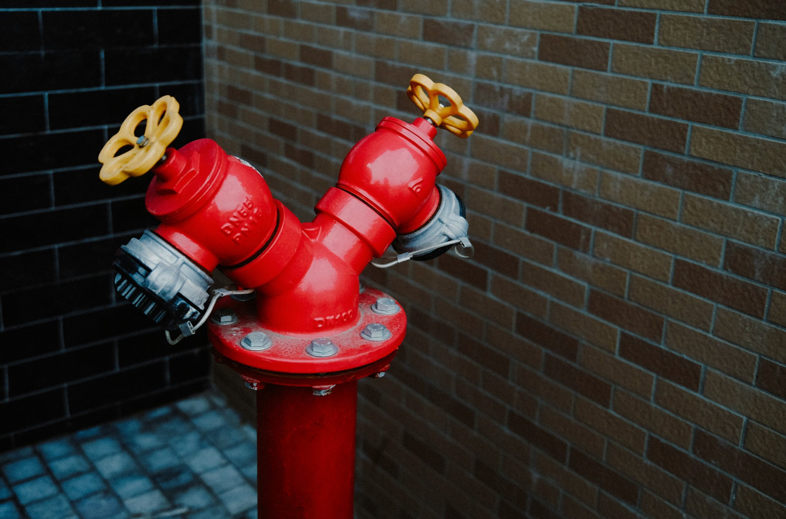 alphacolor-95q-vGx3BuY-unsplash